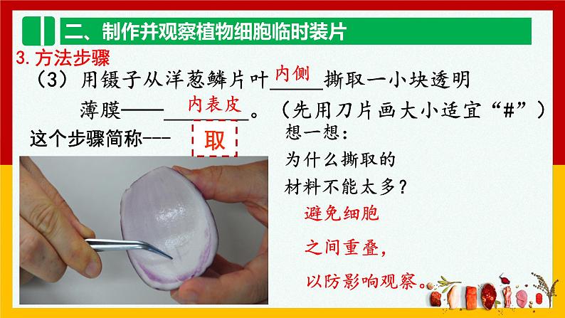 2.1.2植物细胞  课件   人教版七年级生物上册第8页