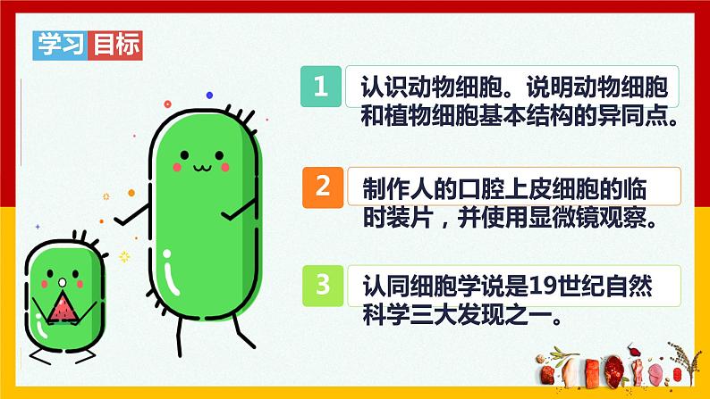 2.1.3  动物细胞  课件  人教版七年级生物上册第2页