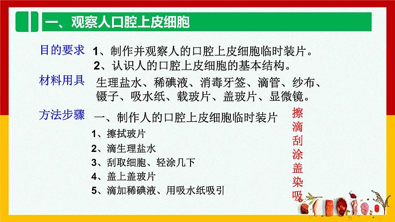 2.1.3  动物细胞  课件  人教版七年级生物上册第3页