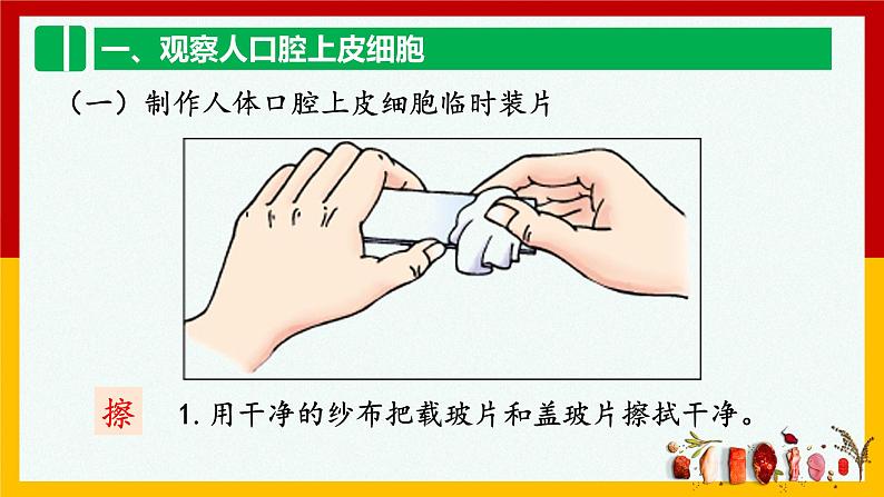 2.1.3  动物细胞  课件  人教版七年级生物上册第4页