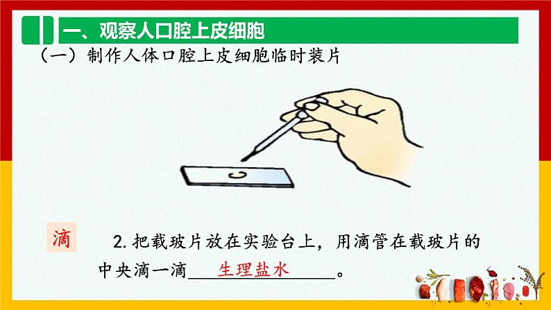 2.1.3  动物细胞  课件  人教版七年级生物上册第5页