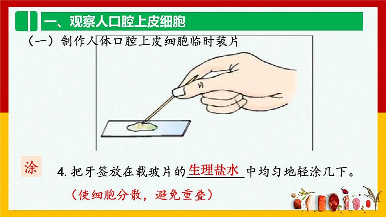 2.1.3  动物细胞  课件  人教版七年级生物上册第7页