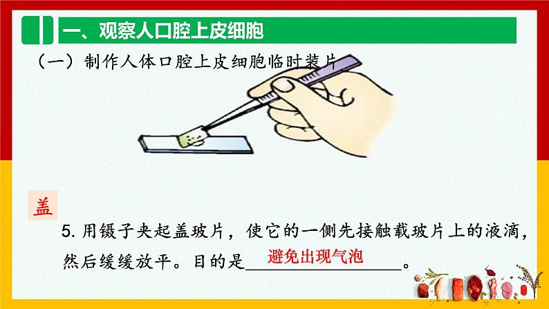 2.1.3  动物细胞  课件  人教版七年级生物上册第8页