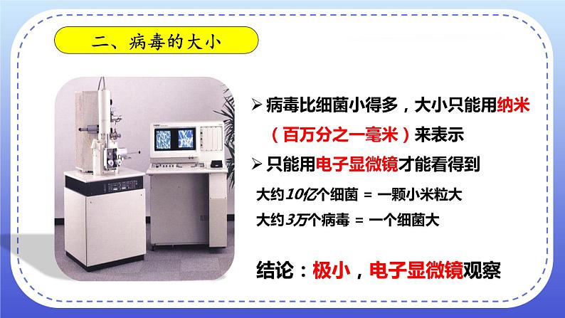 5《病毒》课件+教案07