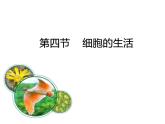 第二单元第一章第四节   细胞的生活    人教版生物七年级上册 课件