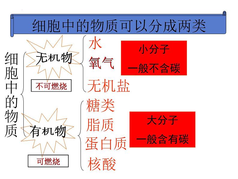 第二单元第一章第四节   细胞的生活    人教版生物七年级上册第5页