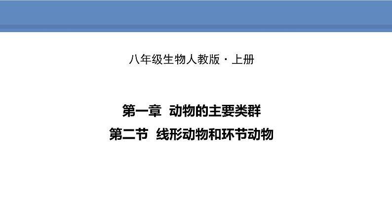 人教版生物八年级上册课件5.1.2 线形动物和环节动物01