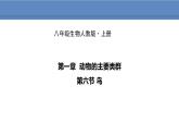 人教版生物八年级上册课件5.1.6 鸟