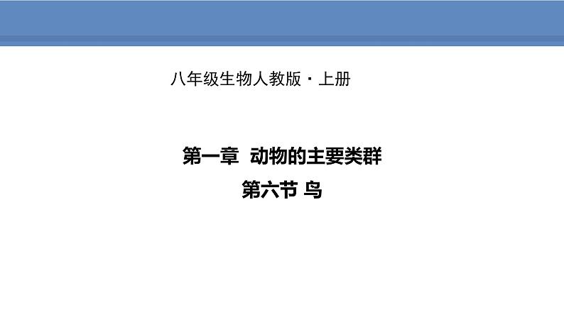 人教版生物八年级上册课件5.1.6 鸟01