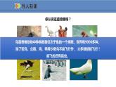 人教版生物八年级上册课件5.1.6 鸟