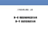 人教版生物八年级上册课件6.1.1  尝试对生物进行分类