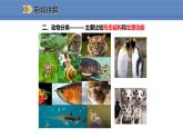人教版生物八年级上册课件6.1.1  尝试对生物进行分类