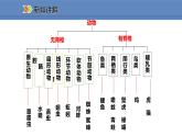 人教版生物八年级上册课件6.1.1  尝试对生物进行分类
