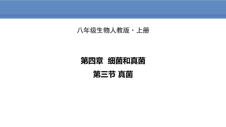 人教版生物八年级上册课件5.4.3 真菌01