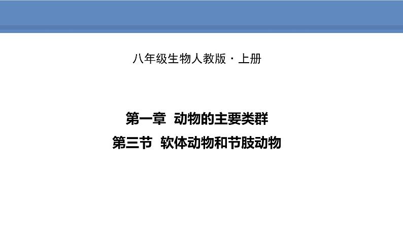 人教版生物八年级上册课件5.1.3 软体动物和节肢动物第1页