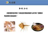 人教版生物八年级上册课件5.1.3 软体动物和节肢动物