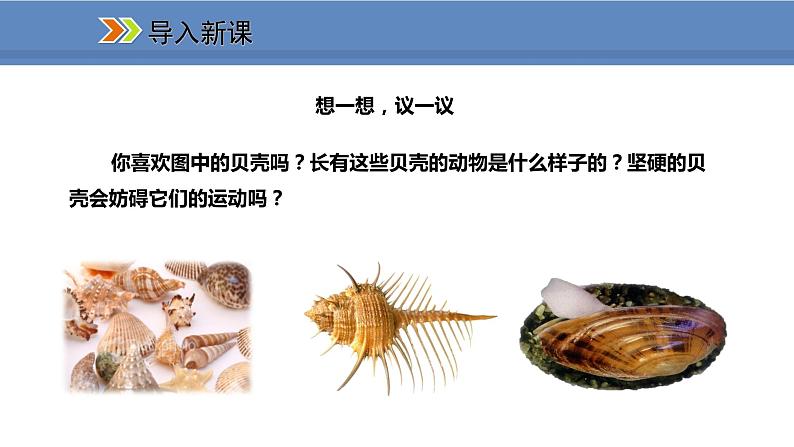 人教版生物八年级上册课件5.1.3 软体动物和节肢动物第3页