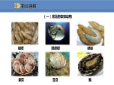 人教版生物八年级上册课件5.1.3 软体动物和节肢动物