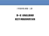 人教版生物八年级上册课件5.1.5 两栖动物和爬行动物