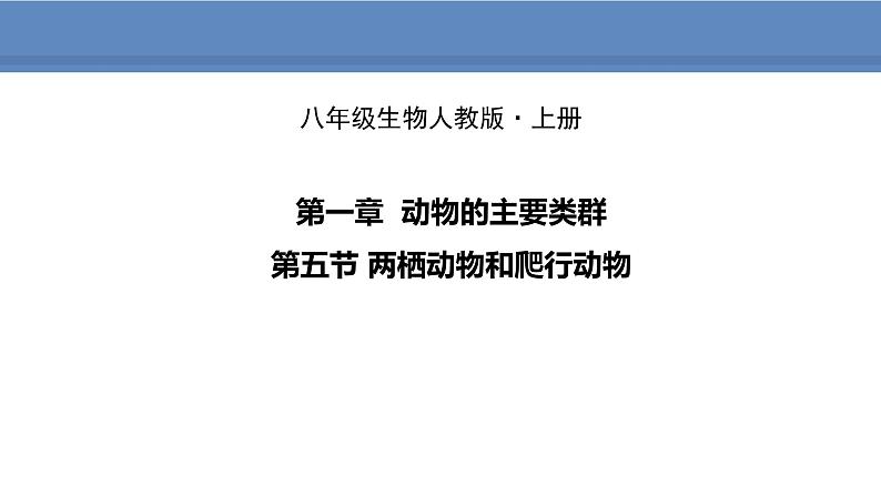 人教版生物八年级上册课件5.1.5 两栖动物和爬行动物01