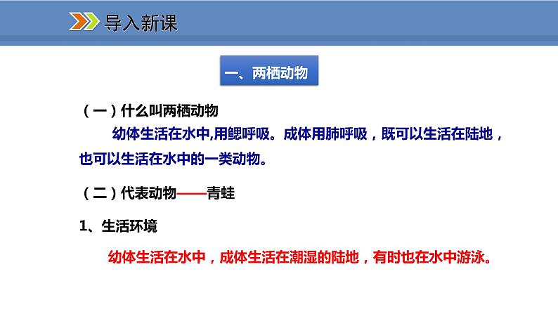 人教版生物八年级上册课件5.1.5 两栖动物和爬行动物03