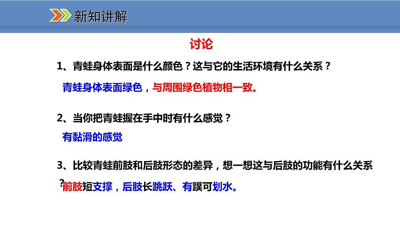 人教版生物八年级上册课件5.1.5 两栖动物和爬行动物07