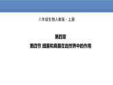 人教版生物八年级上册课件5.4.4 细菌和真菌在自然界中的作用