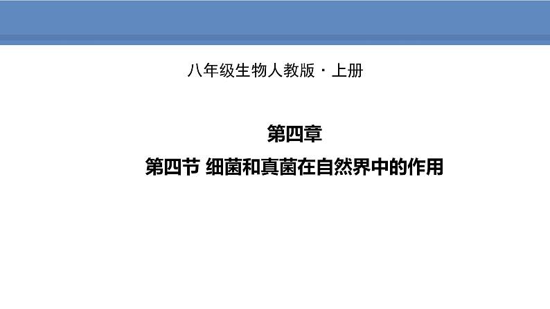 人教版生物八年级上册课件5.4.4 细菌和真菌在自然界中的作用01