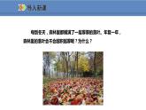 人教版生物八年级上册课件5.4.4 细菌和真菌在自然界中的作用