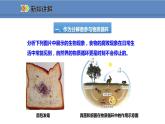 人教版生物八年级上册课件5.4.4 细菌和真菌在自然界中的作用