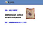 人教版生物八年级上册课件5.4.4 细菌和真菌在自然界中的作用