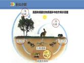 人教版生物八年级上册课件5.4.4 细菌和真菌在自然界中的作用