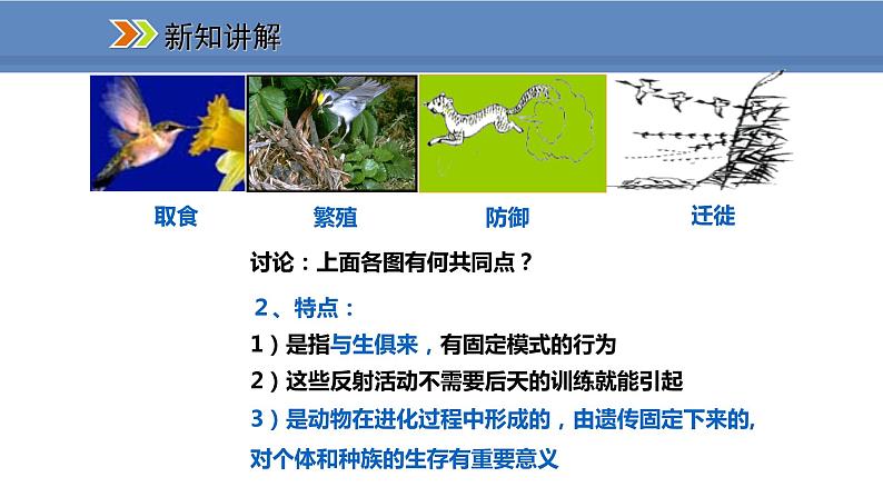 人教版生物八年级上册课件5.2.2 先天性行为和学习行为04