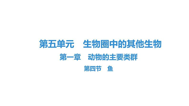 人教版生物八年级上册5.1.4 鱼 课件01