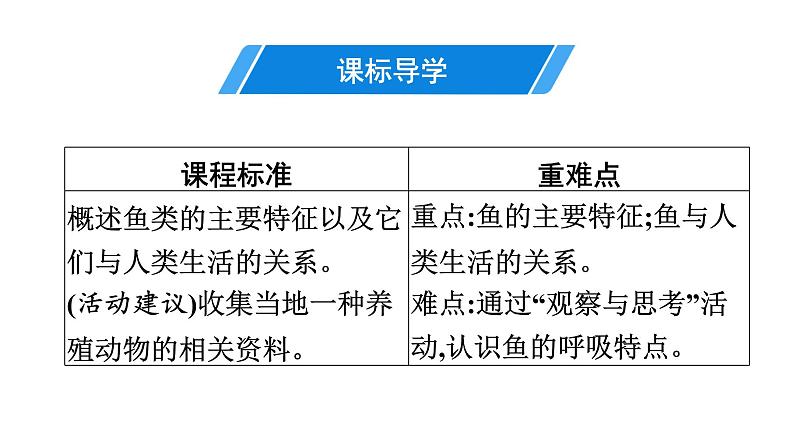 人教版生物八年级上册5.1.4 鱼 课件03