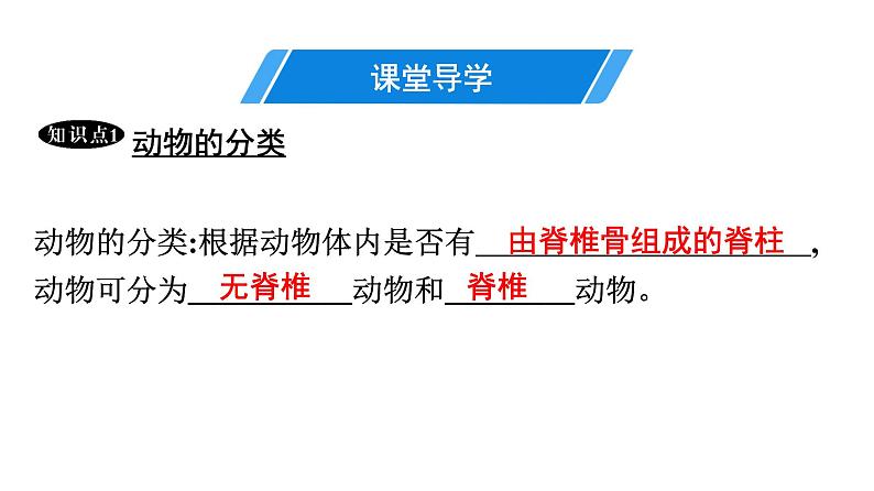 人教版生物八年级上册5.1.4 鱼 课件04