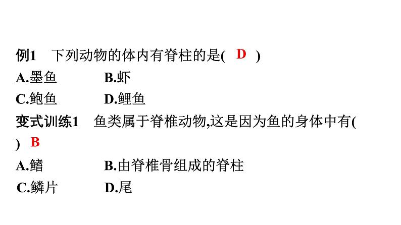 人教版生物八年级上册5.1.4 鱼 课件05