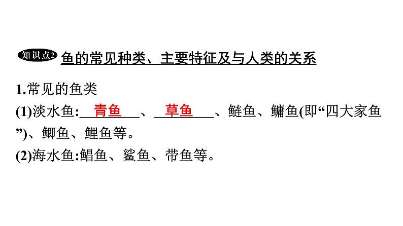 人教版生物八年级上册5.1.4 鱼 课件06