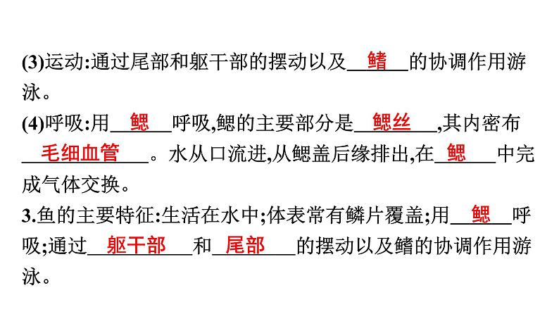 人教版生物八年级上册5.1.4 鱼 课件08