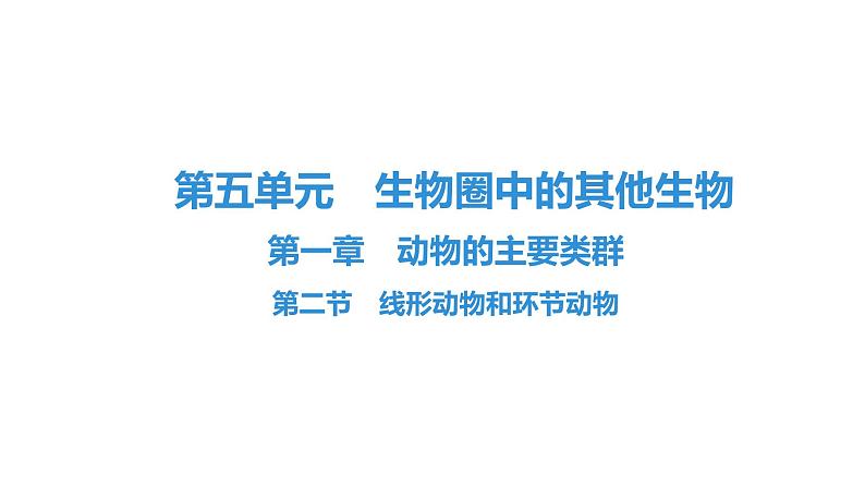 人教版生物八年级上册5.1.2 线形动物和环节动物 课件01