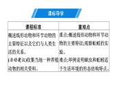 人教版生物八年级上册5.1.2 线形动物和环节动物 课件