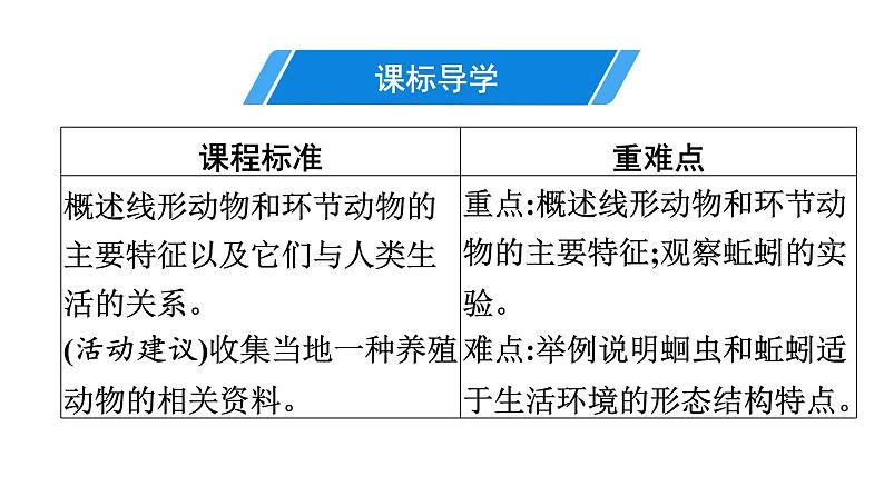 人教版生物八年级上册5.1.2 线形动物和环节动物 课件03