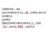人教版生物八年级上册5.1.2 线形动物和环节动物 课件