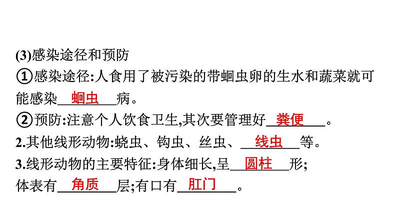 人教版生物八年级上册5.1.2 线形动物和环节动物 课件07