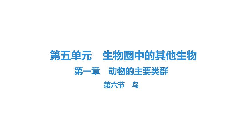 人教版生物八年级上册5.1.6 鸟 课件01