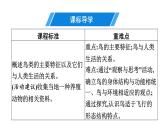 人教版生物八年级上册5.1.6 鸟 课件