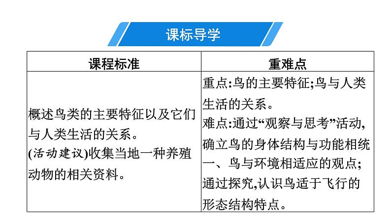 人教版生物八年级上册5.1.6 鸟 课件03