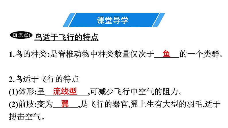 人教版生物八年级上册5.1.6 鸟 课件04