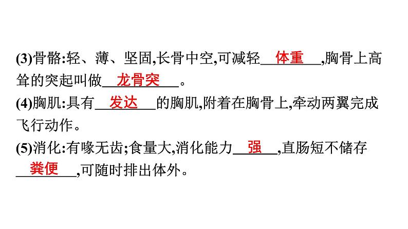 人教版生物八年级上册5.1.6 鸟 课件05