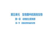 人教版生物八年级上册5.1.1 腔肠动物和扁形动物 课件